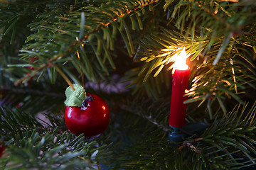 Image showing Closeup of a green Christmas tree with lights