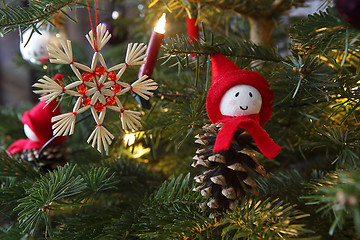 Image showing Closeup of a green Christmas tree with lights