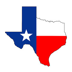Image showing texas flag map