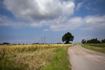 Image showing rural country