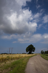 Image showing rural country