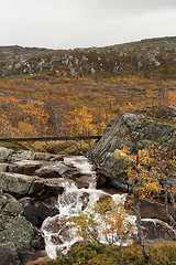 Image showing waterfall