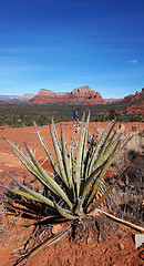 Image showing View of Oak Creek Canyon Arizona     