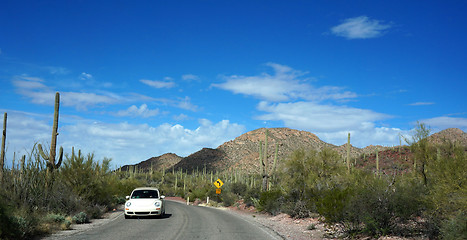 Image showing Scenic inside the Arizona-Sonora Desert Museum 