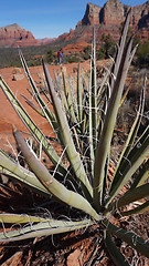 Image showing View of Oak Creek Canyon Arizona     