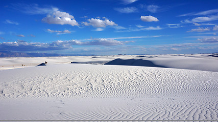 Image showing White Sands, New Mexico