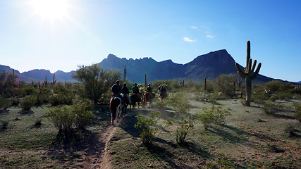 Image showing Arizona horse riding adventures