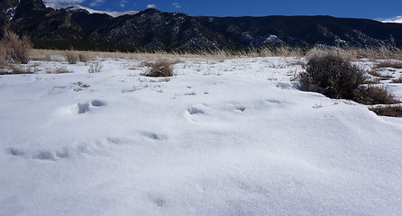 Image showing Great Sand Dunes National Park