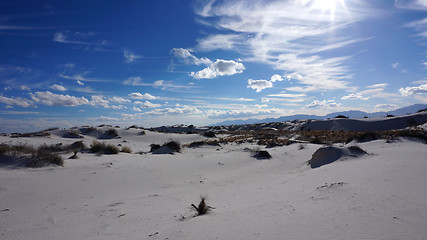 Image showing White Sands, New Mexico