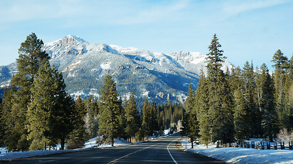 Image showing Road with pikes tree in the winter