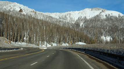 Image showing Road toward the pike forest in the winter