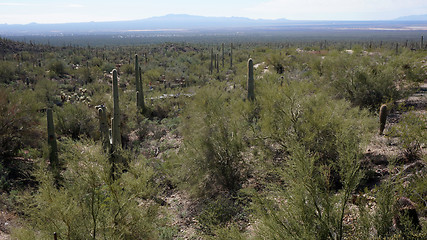 Image showing Scenic inside the Arizona-Sonora Desert Museum 