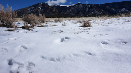 Image showing Great Sand Dunes National Park