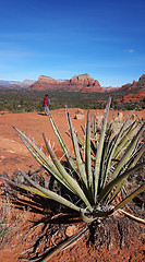 Image showing Oak Creek Canyon Arizona