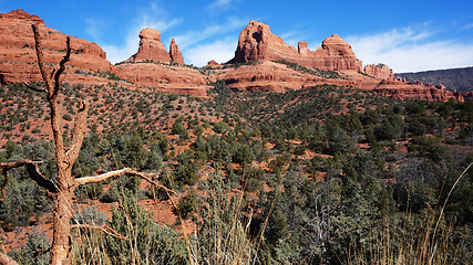 Image showing Wilderness of Rocky Mountain in Arizona, USA