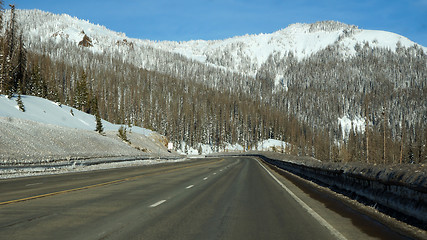 Image showing Road toward the pikes forest in the winter