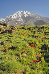 Image showing Damavand in Iran