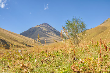 Image showing Grasslands in Kyrgyzstan