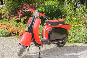 Image showing Old red scooter