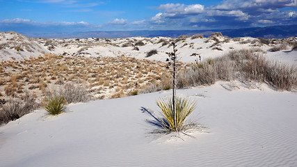 Image showing White Sands, New Mexico