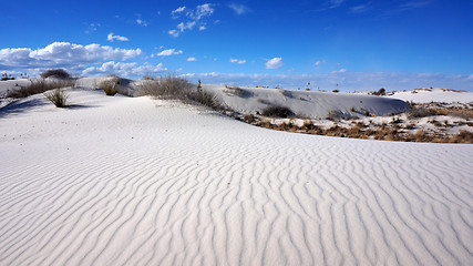 Image showing White Sands, New Mexico