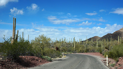 Image showing Scenic inside the Arizona-Sonora Desert Museum 