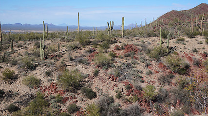 Image showing Scenic inside the Arizona-Sonora Desert Museum 