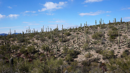 Image showing Scenic inside the Arizona-Sonora Desert Museum 
