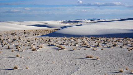 Image showing White Sands, New Mexico