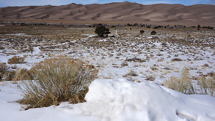 Image showing Great Sand Dunes National Park and Preserve, Colorado