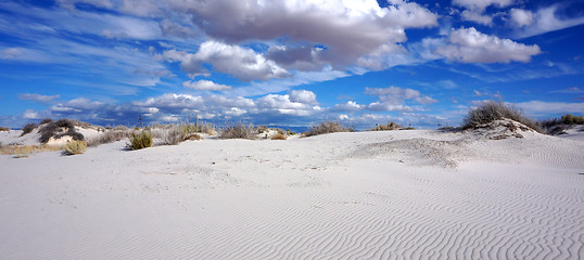 Image showing White Sands, New Mexico