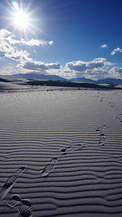 Image showing White Sands, New Mexico