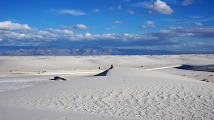 Image showing White Sands, New Mexico