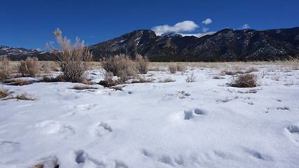 Image showing Rocky mountain of Colorado in the winter