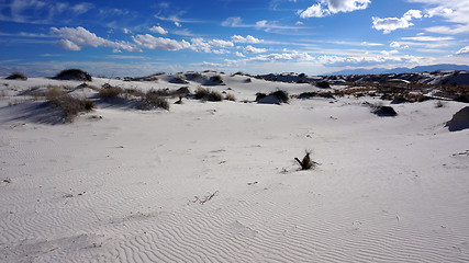 Image showing White Sands, New Mexico