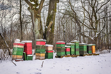 Image showing Been boxes in winter