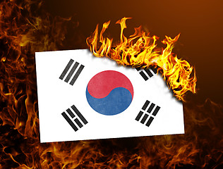 Image showing Flag burning - South Korea