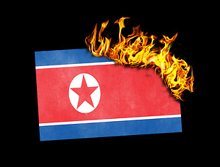 Image showing Flag burning - North Korea