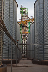 Image showing Towers of grain drying enterprise at sunny day