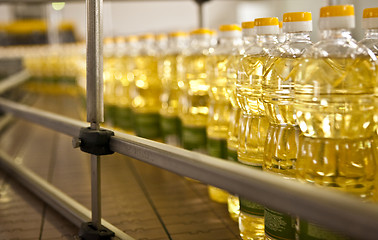 Image showing Factory for the production of edible oils. Shallow DOFF.