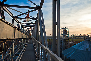 Image showing Towers of grain drying enterprise at sunny day