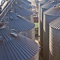 Image showing Towers of grain drying enterprise at sunny day