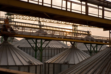 Image showing Towers of grain drying enterprise at sunny day