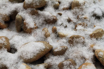 Image showing First snow