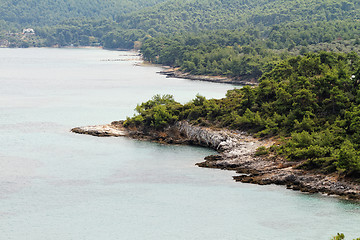 Image showing Coastline