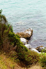 Image showing Coastline