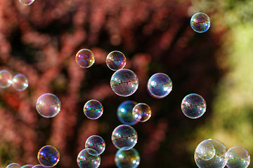 Image showing Soap bubbles