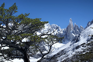 Image showing Los Glaciares National Park