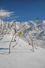 Image showing Himalayas near Kanchenjunga