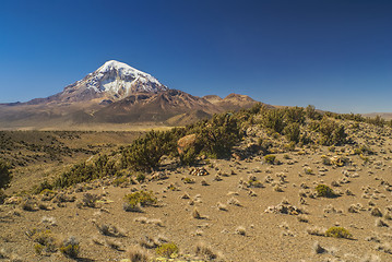 Image showing Nevado Sajama